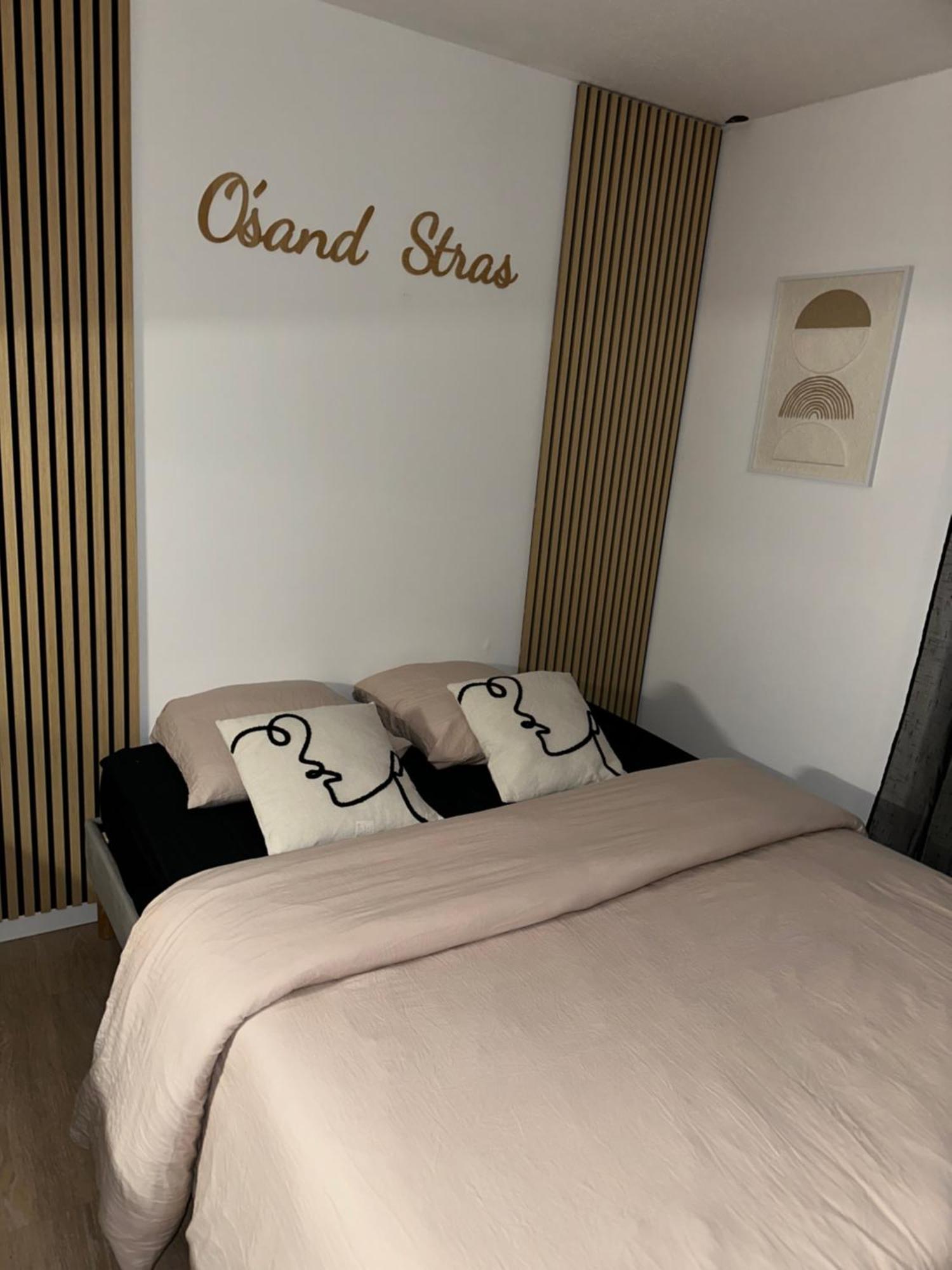 O Sand Stras Studio 25M Carre ستراسبورغ المظهر الخارجي الصورة